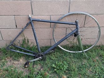 Schwinn  26,,, project bike