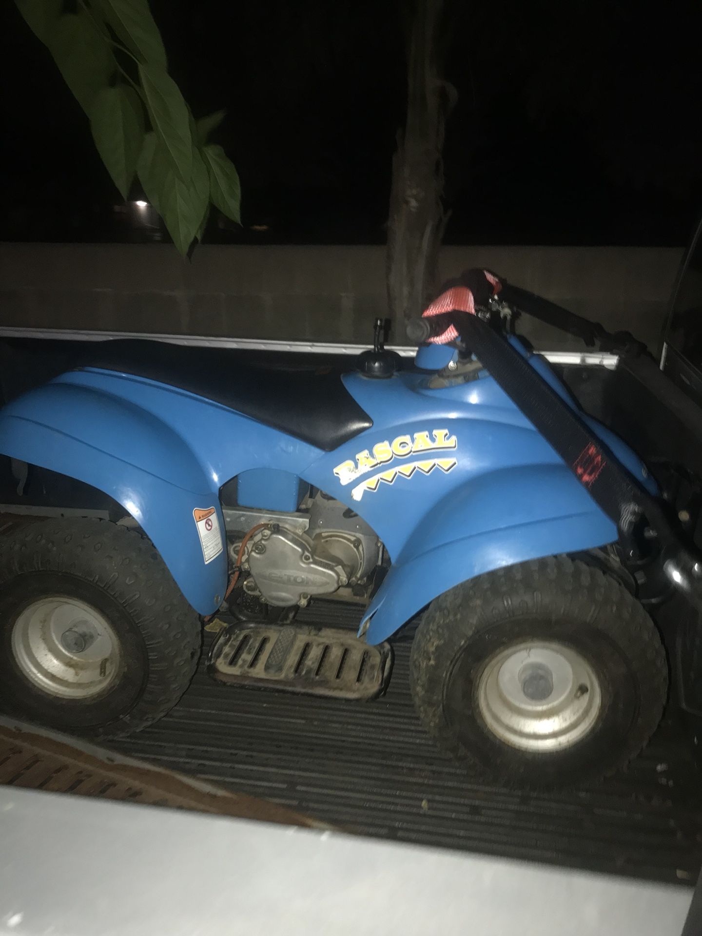 E-ton rascal 50cc quad