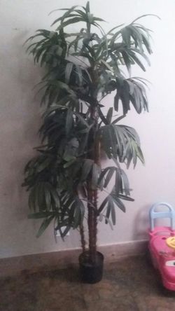 Arbol de decoración