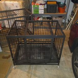 Dog Kennel 