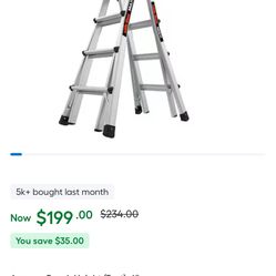 Little Giant Ladder 