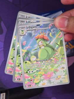 (IVM) lilligant ir