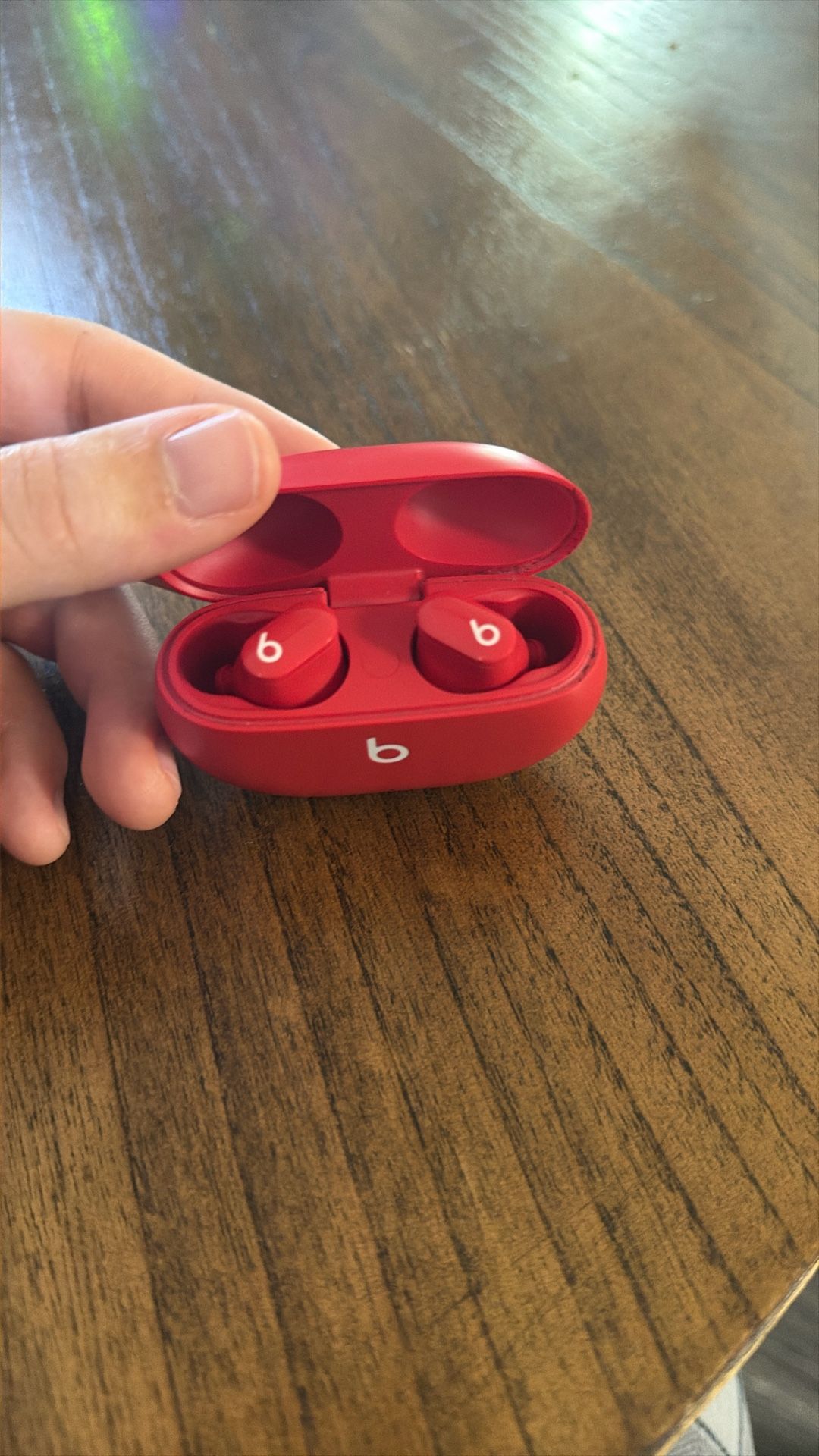 Beats Pro Earbuds 