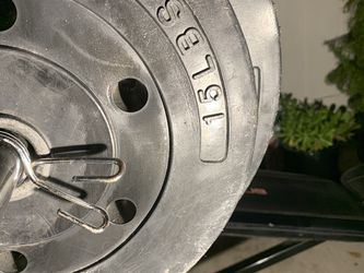 80lb Black Stander Size Wieights Marcy Club