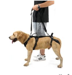 New Mobility Dog Lift Harness, Support Sling & Walking Sling for Dogs, Pet Rear Leg Rehabilitation Support Vest, Dog Carrier for Senior Dogs with Join