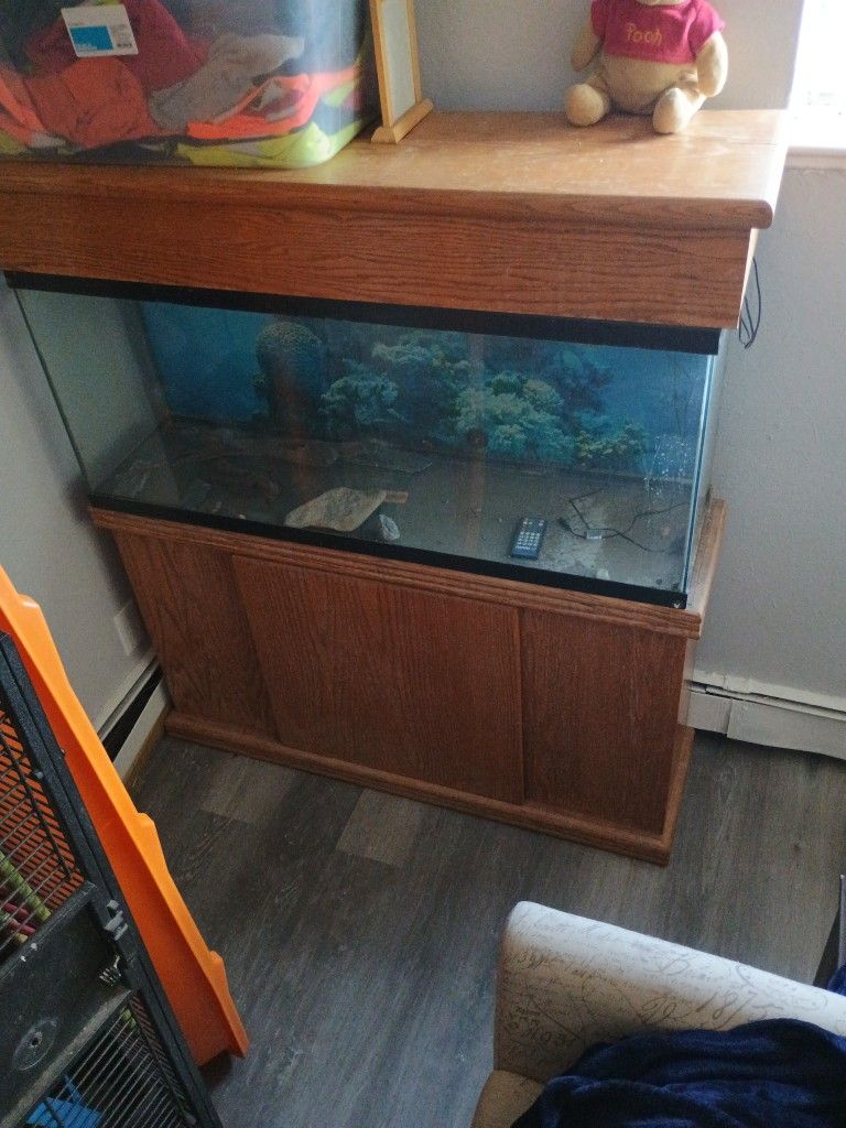 55gallon Fishtank