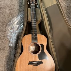 Taylor mahogany Mini 