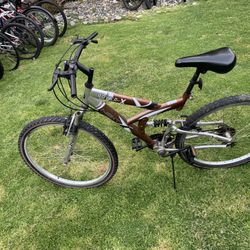 Next Mountain Bike