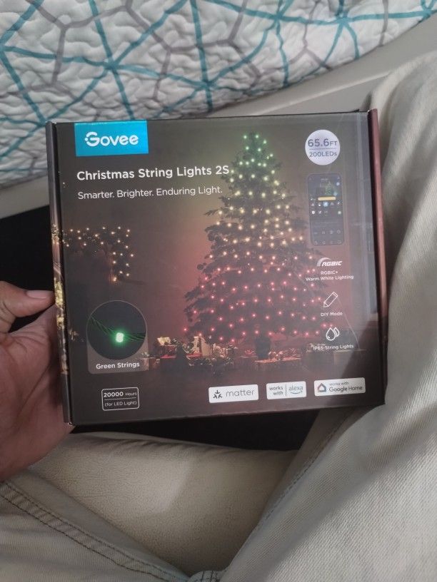 Govee Christmas String Lights 2S