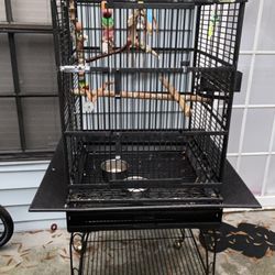 Bird Cage