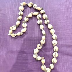 Hawaiian Cowrie Shell Wide Necklace