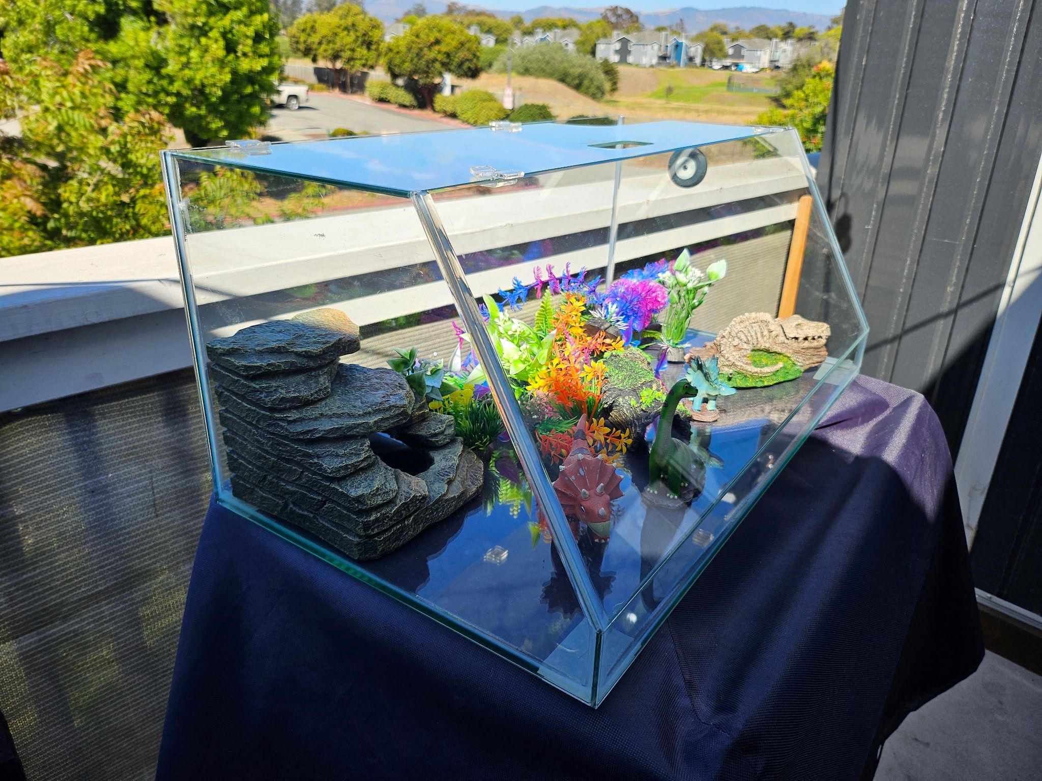 Fish Tank 