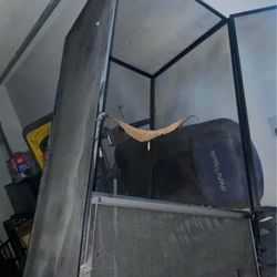 Adult Chameleon Enclosure