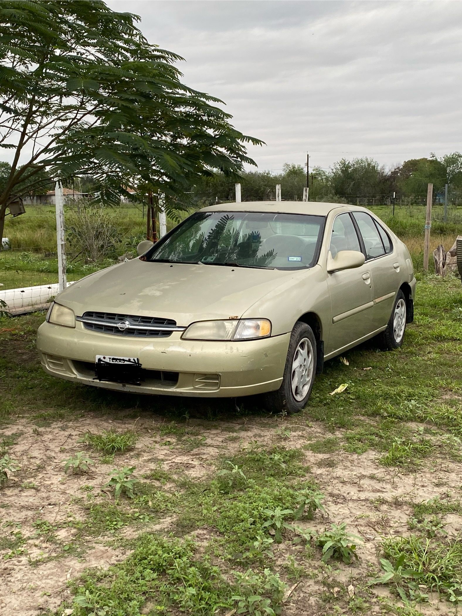 1999 Nissan Altima