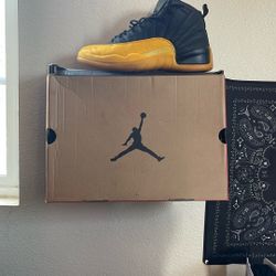 Jordan 12 University Gold