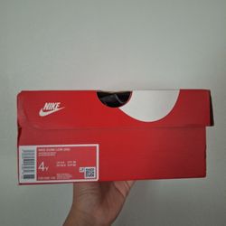 Nike Dunk Low Kids