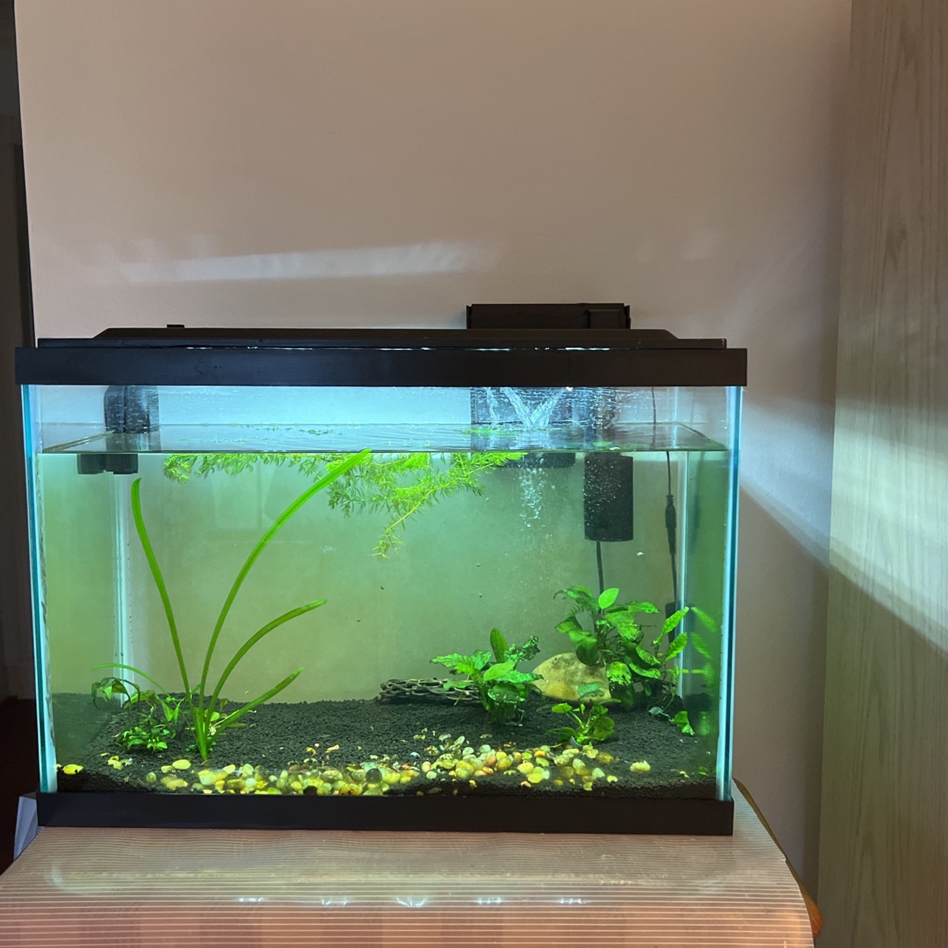 Fish Tank Aquarium  Glass 20 Gallons