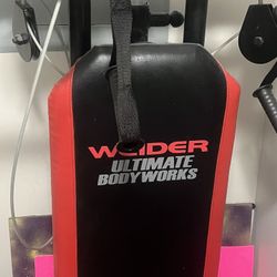 Wieder Ultimate Body Works Exercise Machine