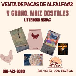 Venta De Pacas De Alfalfa #2 Y Grano Y Maiz Y Mas