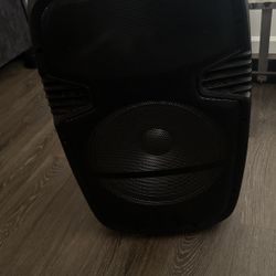 Speaker 
