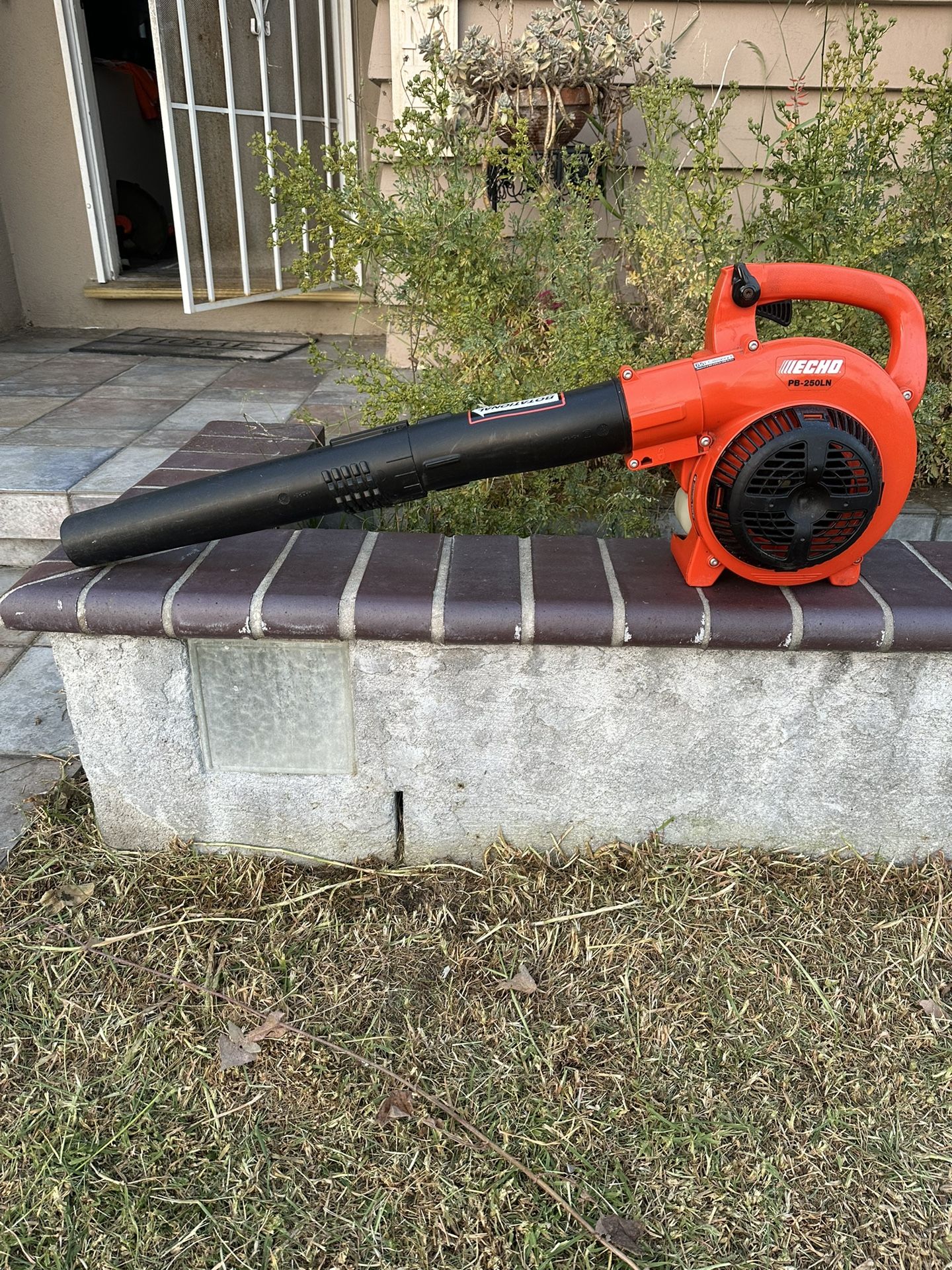 Echo Leaf Blower