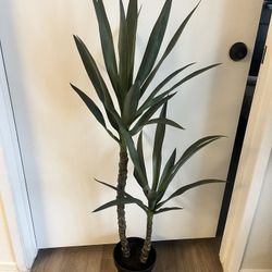Faux /Fake / Artificial Plant