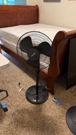 Pelonis 16” adjustable oscillating fan