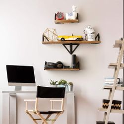 NEW Moden Shelves Wall Mounted