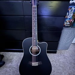 VANGOA 12 STRING (BRAND NEW STRINGS)