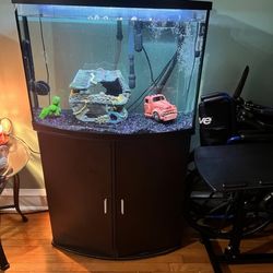 Fish Tank