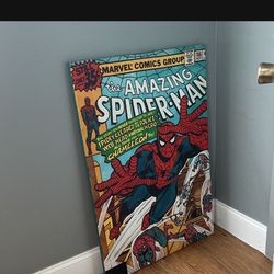 spider-man canvas 