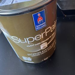 1 Gallon Paint   