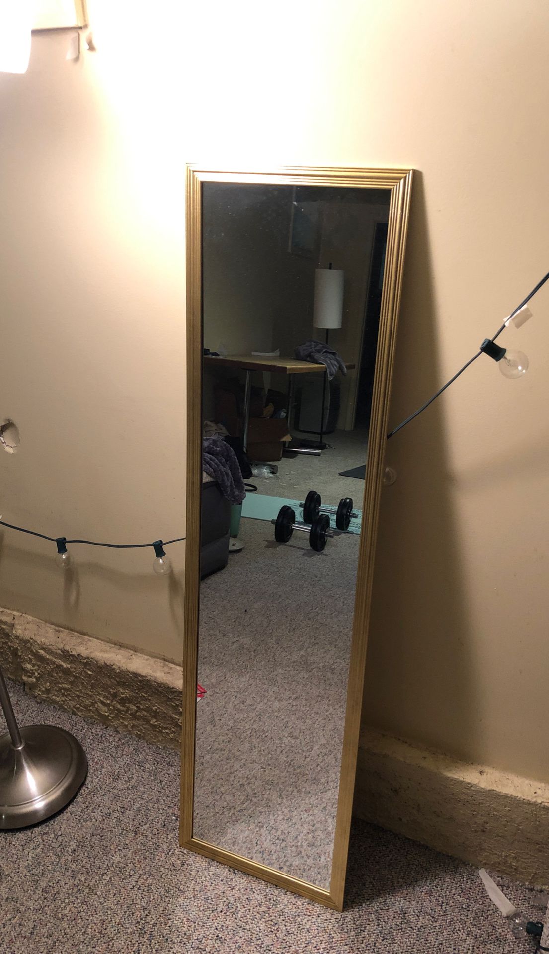 Full length mirror with gold sides