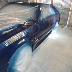 Auto Body Paint