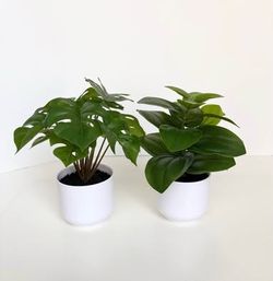 Two Artificial Plants in White Pots