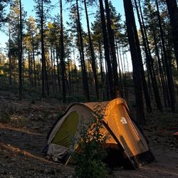 NORTH FACE HOMESTEAD DOMEY 3 TENT 🔥