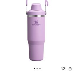 Stanley IceFlow 2.0 Fast Flow Tumbler with Handle 30 oz | Twist On Angled Spout Lid | Leakproof Water Bottle | Insulated Stainless Steel | BPA-Free | 