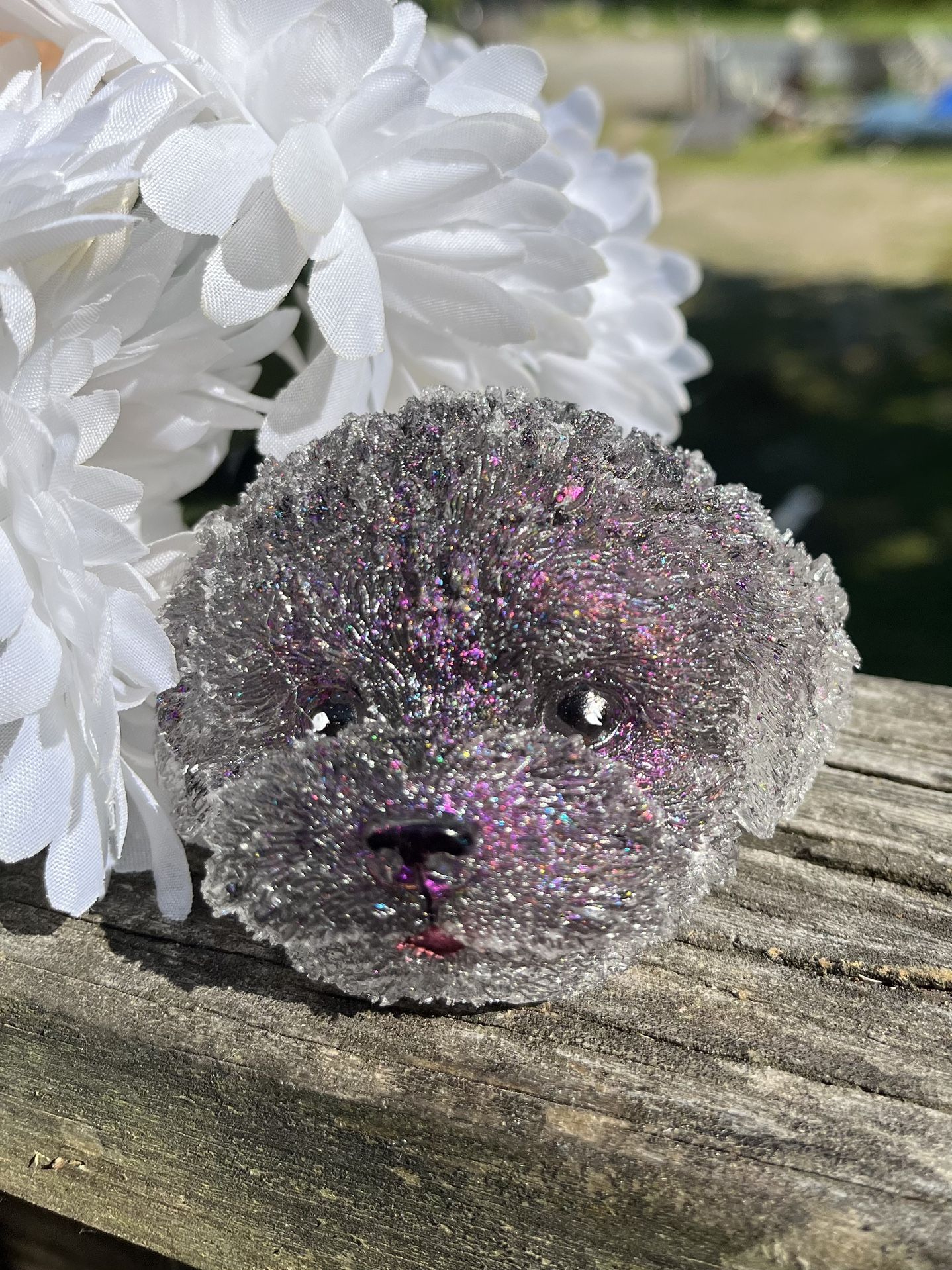 Hoochiepoochie Is Up For Adoption