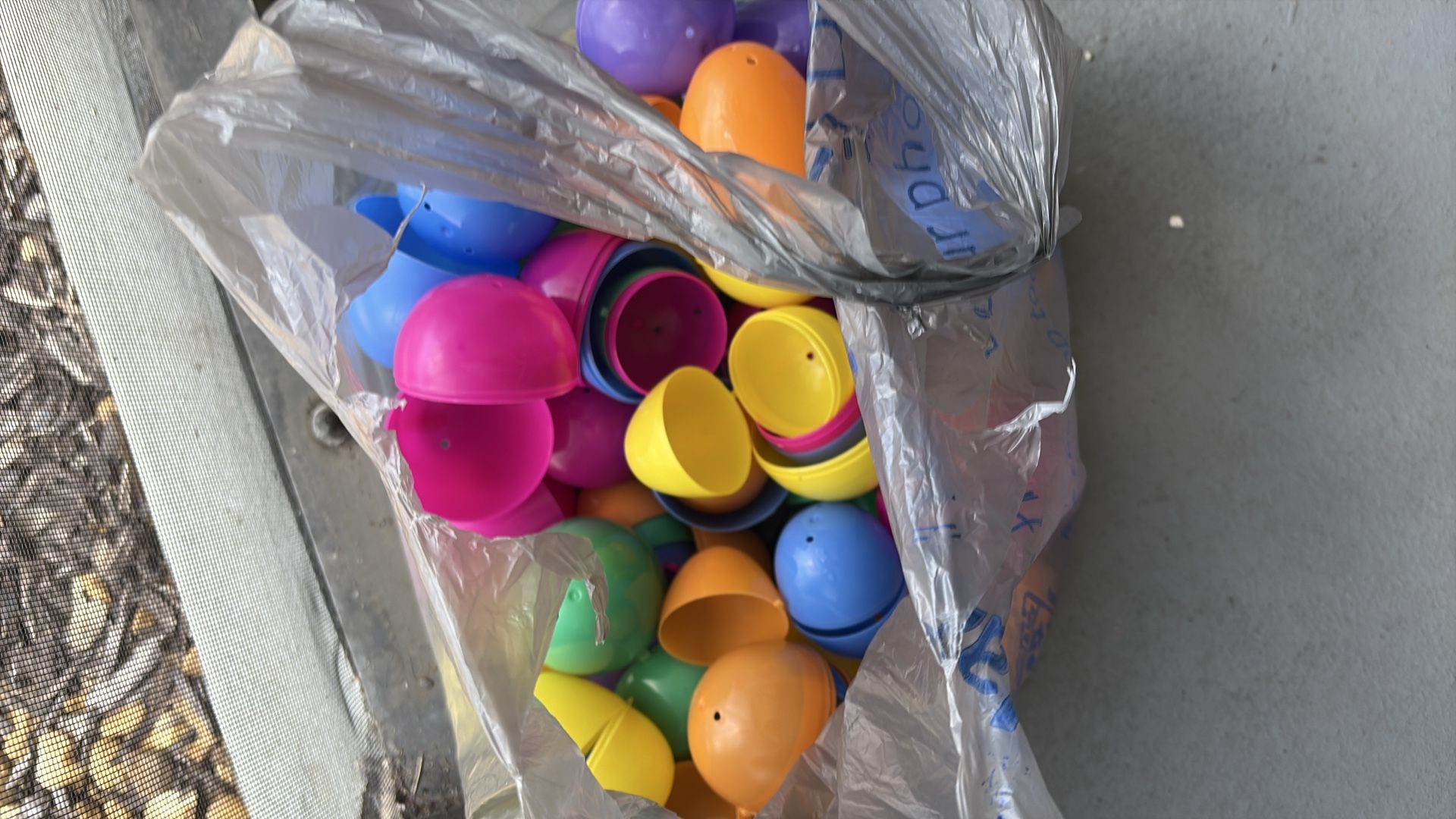 Free eggs