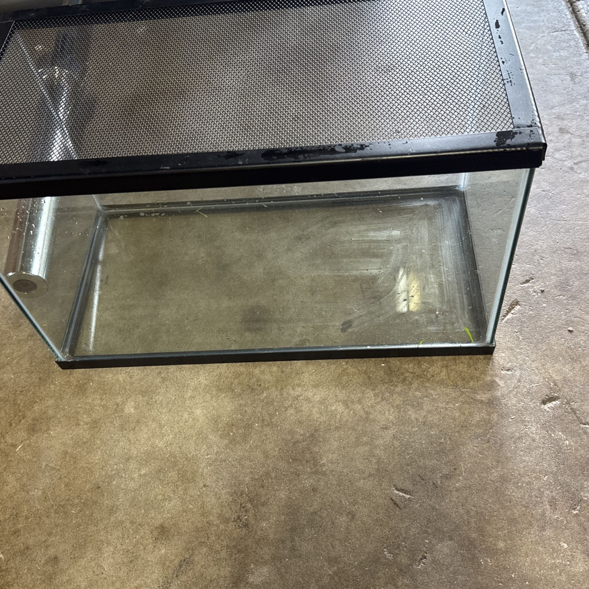 10 Gallon Tank