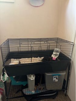 guinea pig cage