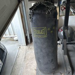 70 Lb Everlast punching bag 