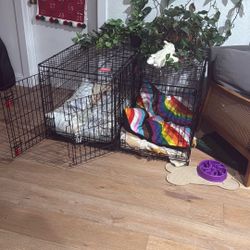 Dog Kennel Medium Large 