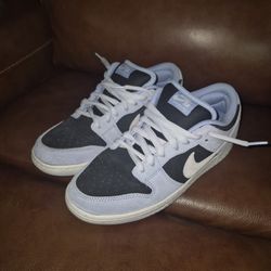 Nike Dunk SB Low Aluminum (Size 11)
