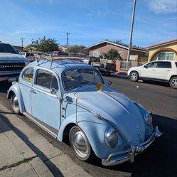 1960 bug