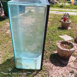 Fish Tank