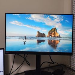 Lenovo ThinkVision T24i-20 Computer Monitors