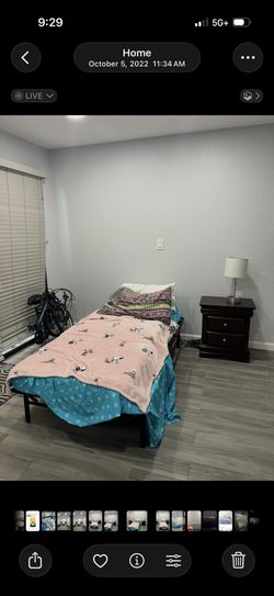 Twin bed frame and trifold mattress