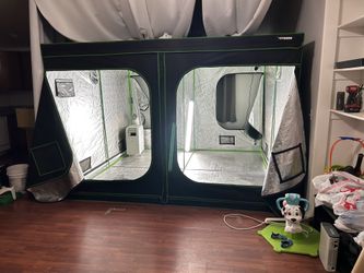 10x10 Grow Tent 