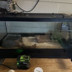 Multiple Reptile Tanks Available